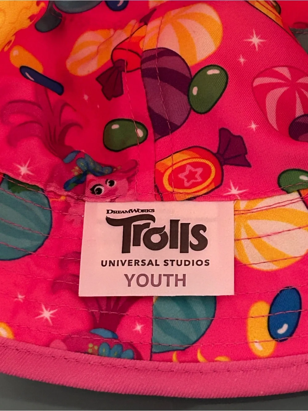 Trolls Poppy Winter Hat Dream Works Girls Boys Youth New Reversible